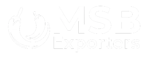 MSB Exporters